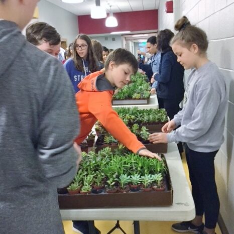 Plantwerks, Nock School, community, green office plants, biophilia,