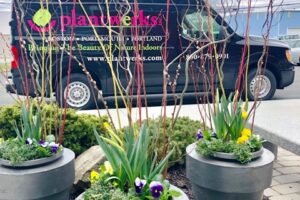 Container gardens Boston, NH, ME, Metrowest, New Hampshire, Maine