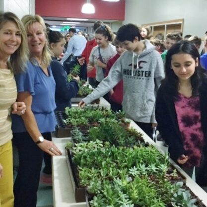 Plantwerks, Nock School, community, green office plants, biophilia, Boston, Metrowest, NH, ME