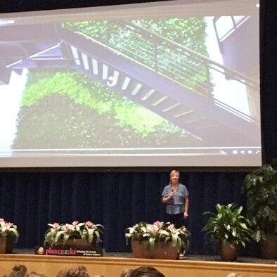 Plantwerks, Nock School, community, green office plants, biophilia, Boston, Metrowest, NH, ME