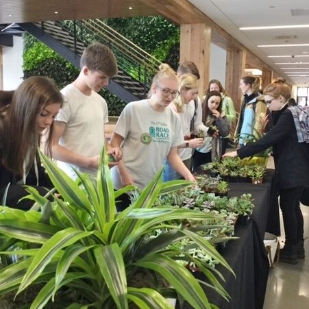 Plantwerks, University of New England, community, green office plants, biophilia, Boston, Metrowest, NH, ME