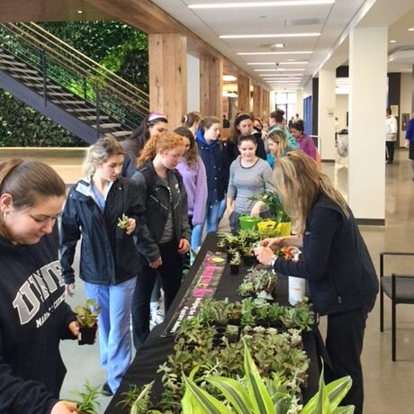 Plantwerks, University of New England, community, green office plants, biophilia, Boston, Metrowest, NH, ME