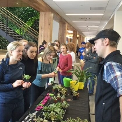 Plantwerks, University of New England, community, green office plants, biophilia, Boston, Metrowest, NH, ME