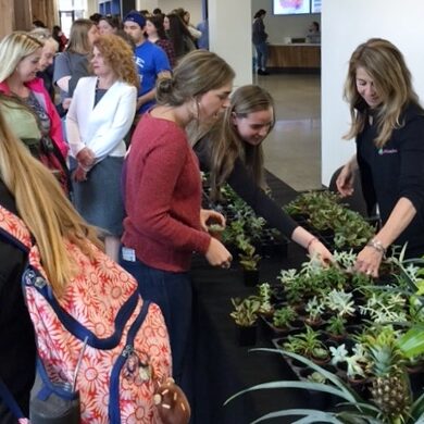 Plantwerks, University of New England, community, green office plants, biophilia, Boston, Metrowest, NH, ME