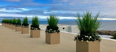 container gardens, green office plants, office space, Boston, NH, ME