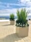 container gardening, potted plants, green office plants, plant maintenance, interior landscaping, biophilia, biophilic design, benefits of green plants, social distancing, office space, Boston, Metrowest, NH, ME, New Hampshire, Maine