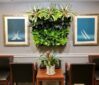 green office plants, green walls, living walls, interior landscaping, Boston, NH, ME