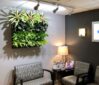 green office plants, green walls, living walls, interior landscaping, Boston, NH, ME