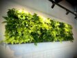 living walls, interior landscaping, green walls, Boston, NH, ME, Ne Hampshire, Maine