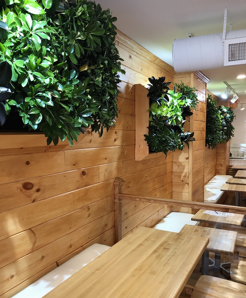 green office plants, green walls, living walls, interior landscaping, Boston, NH, ME