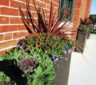 container gardening, potted plants, green office plants, plant maintenance, interior landscaping, biophilia, biophilic design, benefits of green plants, social distancing, office space, Boston, Metrowest, NH, ME, New Hampshire, Maine