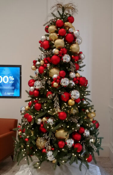 Holiday plants and decorations and seasonal themes add sparkle and excitement to the environment.