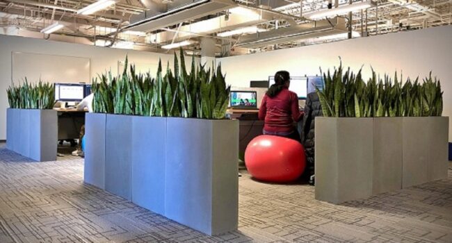 Office environment containers for social distancing and privacy