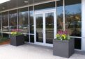 container gardening, potted plants, green office plants, plant maintenance, interior landscaping, biophilia, biophilic design, benefits of green plants, social distancing, office space, Boston, Metrowest, NH, ME, New Hampshire, Maine