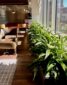 Office plants create a healthy workspace, Plantwerks interior landscaping design and plant maintenance serving Boston, NH, ME