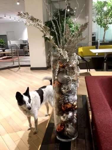 Holiday decorations and seasonal themes brings joy to visitors.