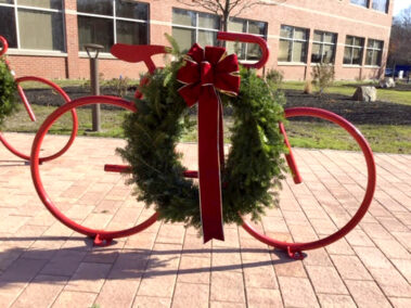 Holiday plants and decorations and seasonal themes add sparkle and excitement to the environment.