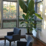 Office environment interior landscaping and maintenance