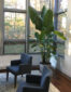 Office environment interior landscaping and maintenance