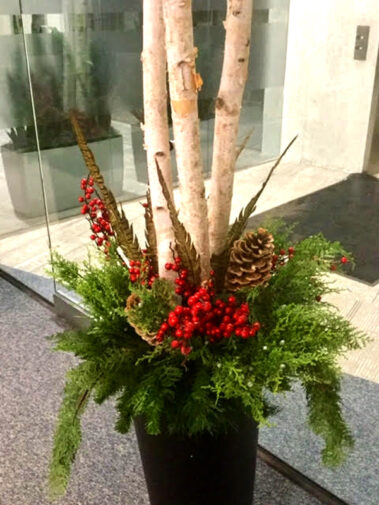 Holiday decorations and seasonal themes add sparkle and excitement to the environment.