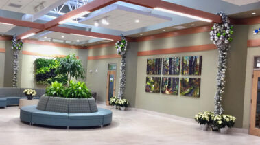 Holiday plants and decorations and seasonal themes add sparkle and excitement to the environment.