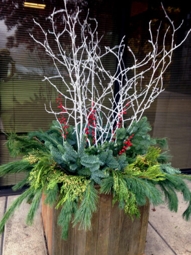 Holiday plants and seasonal themes add sparkle and excitement to the environment.