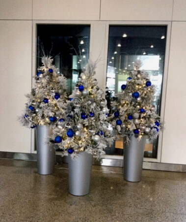 Holiday plants and decorations and seasonal themes add sparkle and excitement to the environment.