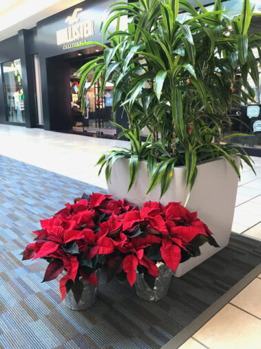 Holiday and seasonal themes add sparkle and excitement to the environment.