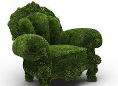 Moss walls, biophilia, biophilic design, social distancing, interior landscaping, green office plants, Boston, Metrowest, ME, NH