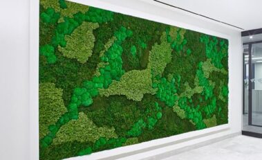 Moss walls add a new dimension to spaces