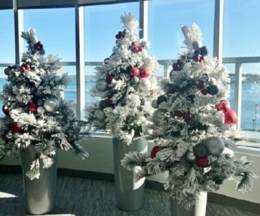 Holiday plants and decorations and seasonal themes add sparkle and excitement to the environment.