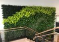 Living wall educational institutions University of New England