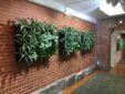Lobby living wall interior landscaping