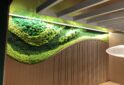 Moss wall irobot
