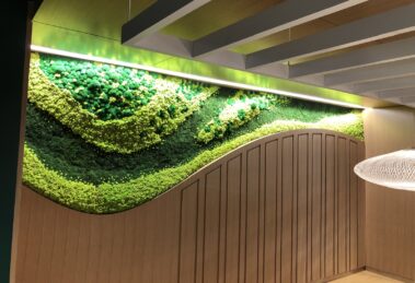 Moss wall irobot