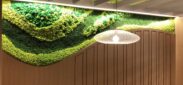 Moss wall office space