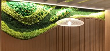 Moss wall office space
