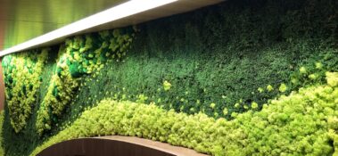 Plantwerks interior landscaping, moss walls