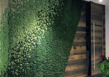Moss wall adds character to space with angular form and texture