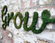 Using moss to write inspirational messages or for logos