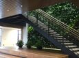 Educational institutions UNE stairway living wall