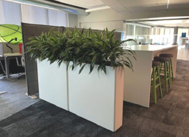 NEU Portland, ME divider