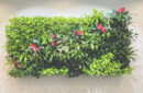 Living wall, variety of textures, green walls, interior landscaping