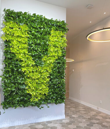 Living wall, green plants, work of art, interior landscaping