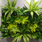 Living walls, green plants, interior landscaping, improves air qualityy