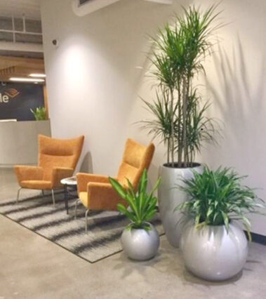 Interior landscaping social distancing