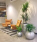 Interior landscaping social distancing