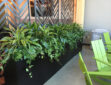 interior landscaping, green plants, natural barriers for social distancing
